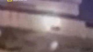 Чернобыль, секунды до катастрофы