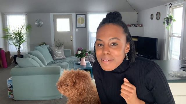 Monstera Deliciosa Seed has Sprouted Indoors смотреть онлайн