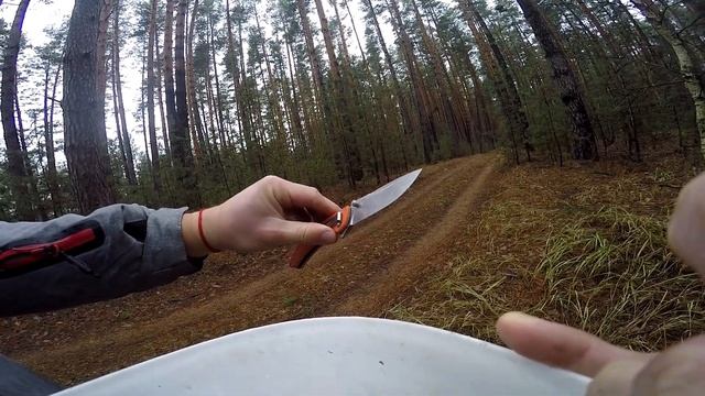 БІЛІ ГРИБИ у ЛИСТОПАДІ! МОРЕ ПОЛЬСЬКИХ! Несподіване ГРИБНЕ ЕЛЬДОРАДО в пізню ОСІНЬ 2023 смотреть онлайн