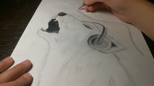 Рисую волка в наушниках / Tiger Art смотреть онлайн