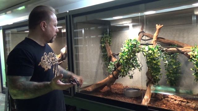White Lipped Python Care смотреть онлайн