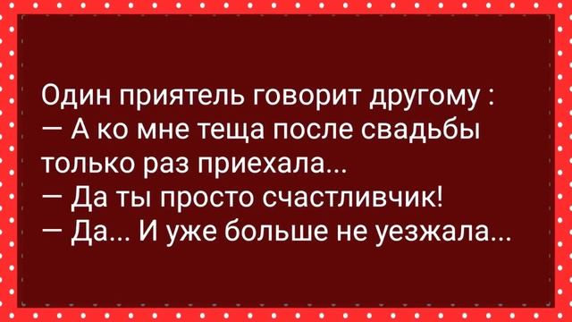 Директор При Жене Наказал Секретаршу! Сборник Свежих Анекдотов! Юмор! смотреть онлайн