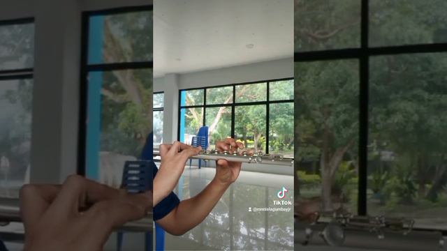 Fallen (Flute Solo Cover) смотреть онлайн