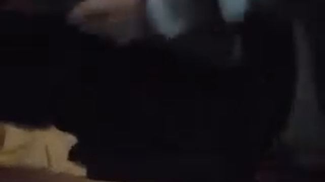 Кузьмич VS Тубус смотреть онлайн