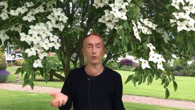 My first EMDR session E614 смотреть онлайн