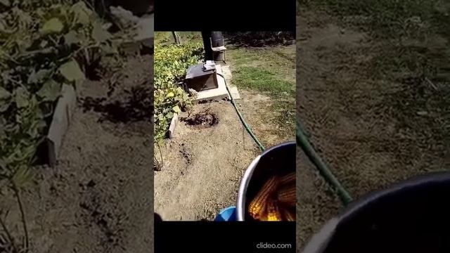 Очиститель кукурузных початков. Corn cob cleaner смотреть онлайн