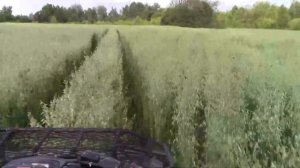 Обзор  на Stels dinli 700 куб см, бешеный квадроцикл