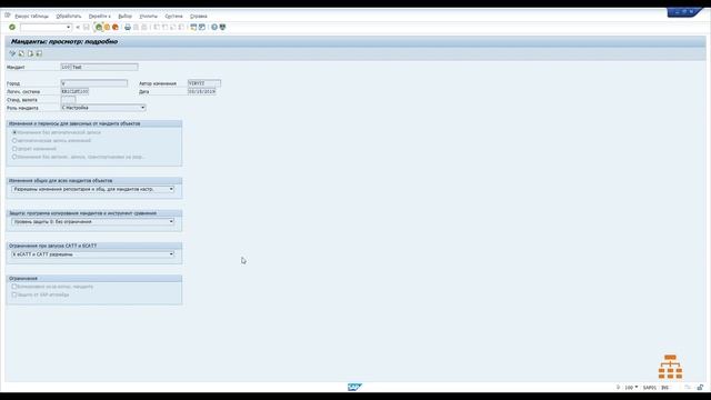 Что такое мандант в SAP смотреть онлайн