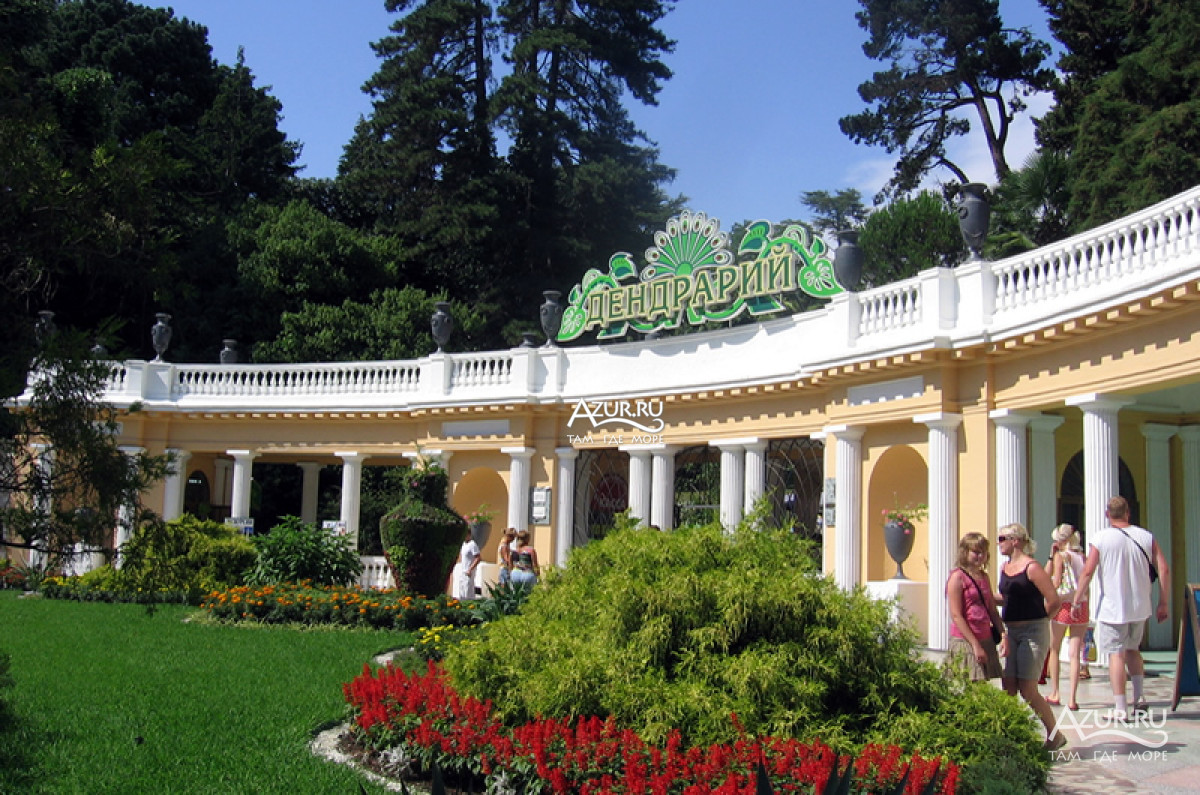 Сочинский Дендрарий - один из самых красивых парков Краснодарского Края!