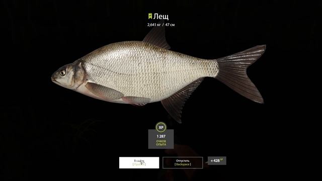 Русская рыбалка 4 (РР4) оз. Старый Острог ЛЕЩ Russian Fishing 4 (РР4) Old Burg Bream