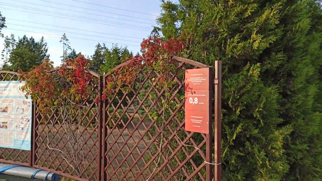 Пляж и озеро на Всесезонном курорте "Игора" смотреть онлайн