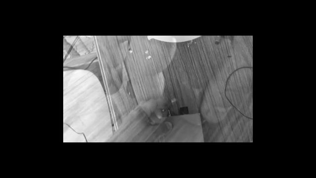Making Of Black Egg by Snake and Jet's Amazing Bullit Band смотреть онлайн