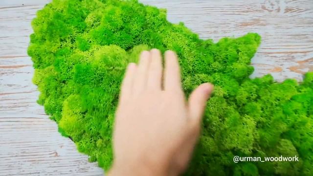 Панно из мха для интерьера смотреть онлайн