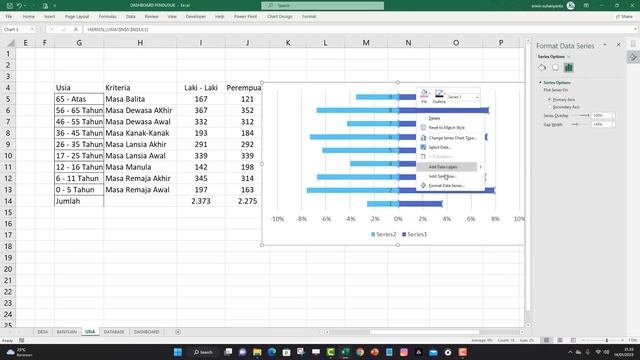DASHBOARD DATA PENDUDUK MENGGUNAKAN PIVOT TABEL смотреть онлайн