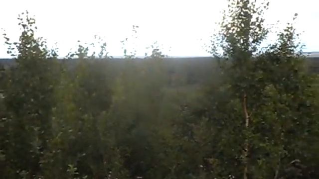 Прогулка с биноклем. Атака Ос. Обрыв. Река Печора. Мост. ГРЭС. A walk through Kozhva. Август. смотреть онлайн