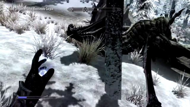 Skyrim - Frozen Dead Dragon Glitch [HD] смотреть онлайн