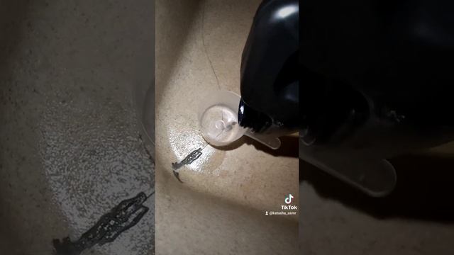 F31aab7a5f29971f5731df036eb231bf.mp4