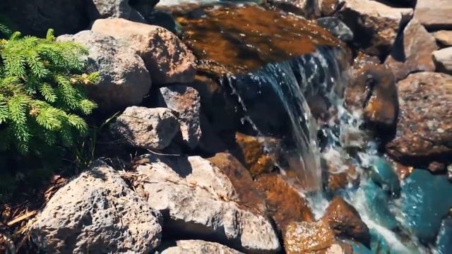 Hypnic | LANDSCAPE DESIGN смотреть онлайн