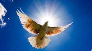 [75]? Прости нас Господи, ПРОСТИ!