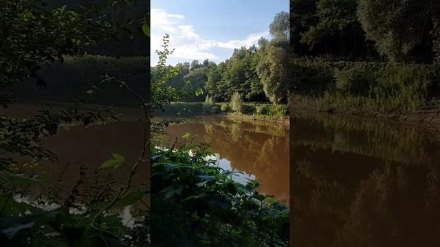 Парк Leśny в Gliwice Польша смотреть онлайн