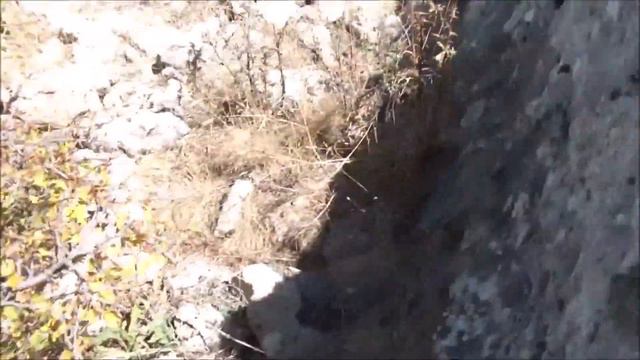Путешествие с Александром Колтыпиным по колеям и дорогам неогенового периода смотреть онлайн