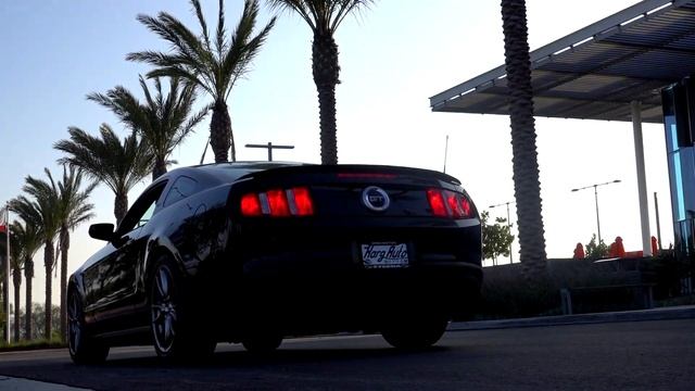 Buying A 2012 Mustang GT 5.0 V8 For JUST $10,000?!?!?! [6 Speed]