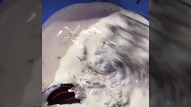 ПЫШНЫЕ ПЕЧЁНОЧНЫЕ КОТЛЕТЫ (оладьи) #печень #котлеты #оладьи ? смотреть онлайн