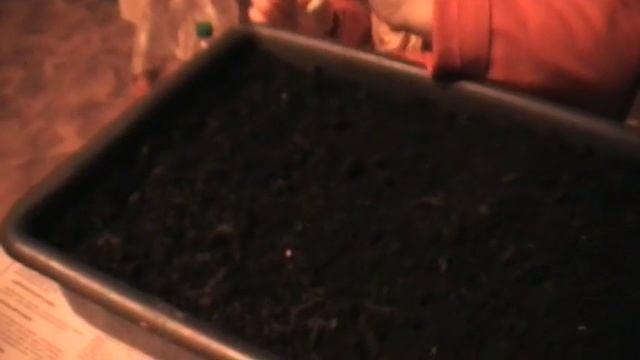 Сад и огород Выпуск 011 Сажаем георгины помпонные и кактусовые с 3 х лет смотреть онлайн