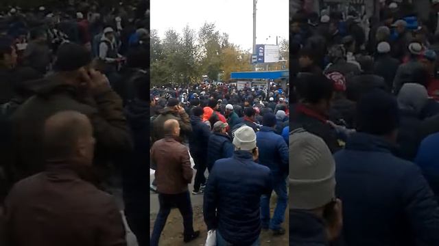 Посмотрите смотреть онлайн