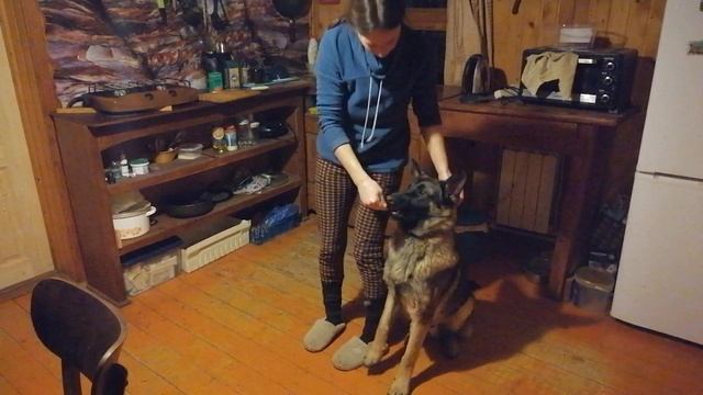 VID_20221105_182523.mp4 смотреть онлайн