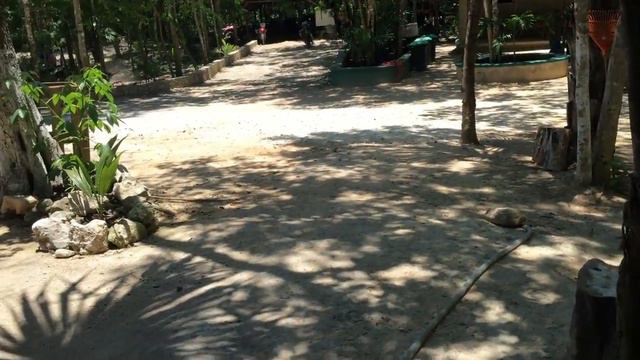 Пещера Rio Secreto смотреть онлайн