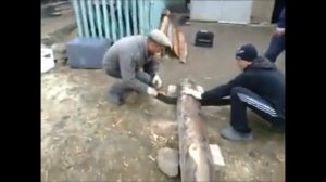 Татарча приколлар-татарские приколы #1