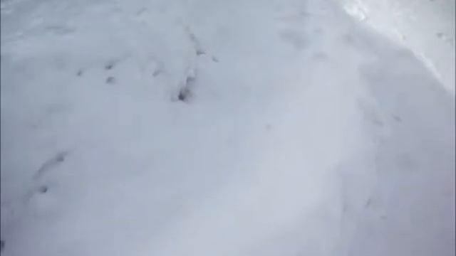 Снежная лестница смотреть онлайн