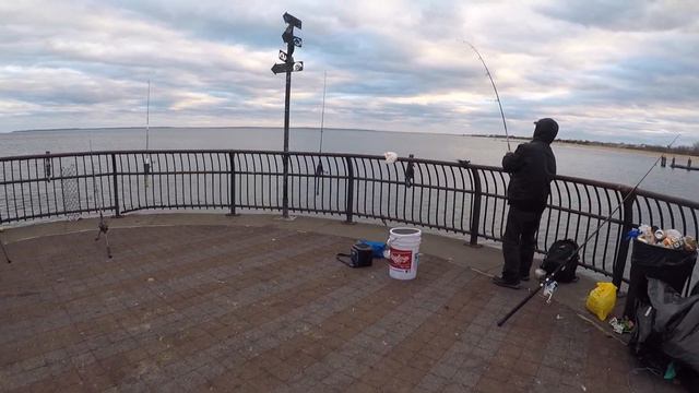 Staten Island Striped Bass Fishing смотреть онлайн