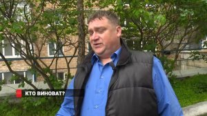 Собаки нападают на людей во Владивостоке