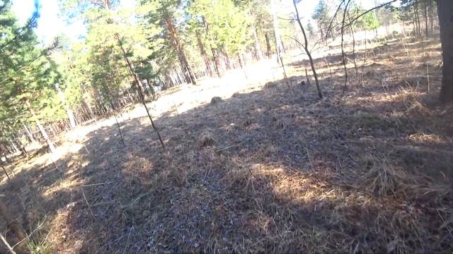 Грибные кулинарные мастерские