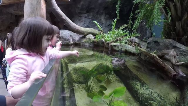 17# Посетили The Florida Aquarium, г.Тампа, США смотреть онлайн
