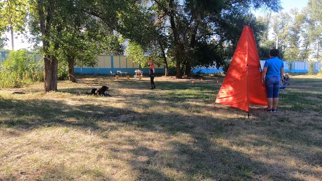 Охрана вещи; Зкс ( защита караульная служба) Ротвейлер флай флау Плаза Вижен смотреть онлайн