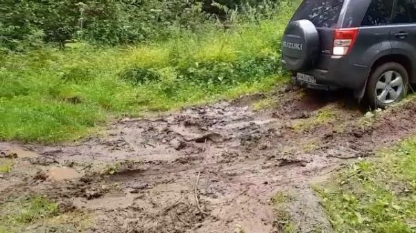 сузуки гранд витара 2.4 с esp