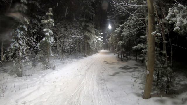Вечером на лыжах в зимнем лесу. смотреть онлайн
