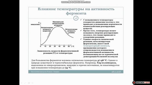 Биология. Урок №29 Факторы и условия, влияющие на активность ферментов смотреть онлайн