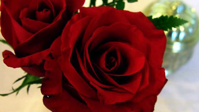 Новая песня и видео в хорошем качестве