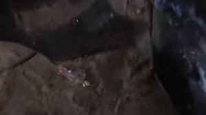 отвал на плуг самому.(с газового болона).