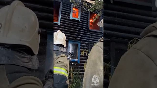 Мир не такой уж солнечный и приветливый. Держи удар! смотреть онлайн