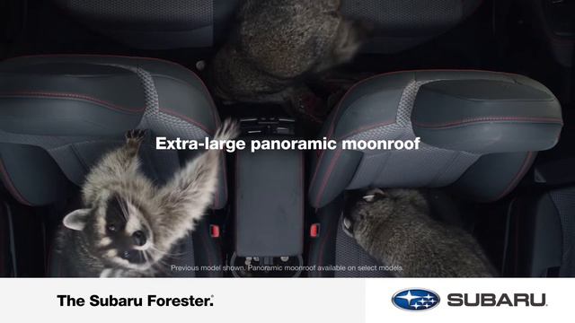 Subaru Forester - Extra large panoramic moonroof смотреть онлайн