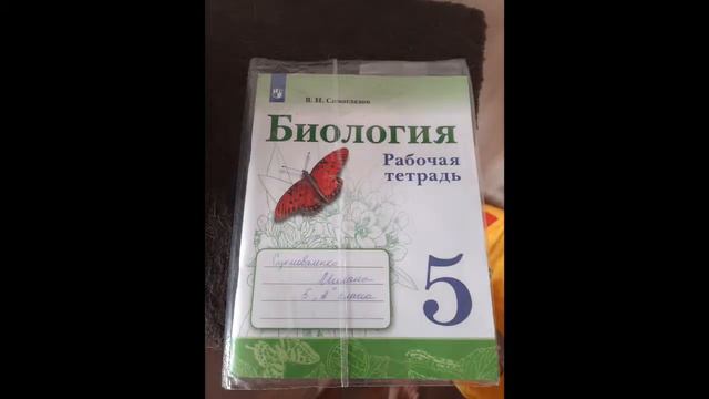Вот и закончился 5 класс смотреть онлайн