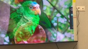 Честный обзор на телевизор Hisense 55E7HQ QLED