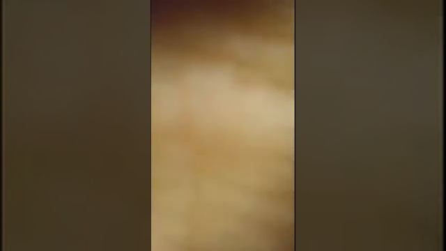 В Бутово Молл смотреть онлайн
