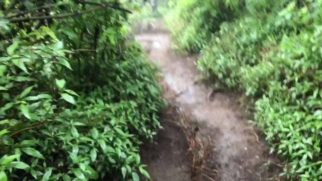 Merbabu Lewat Gancik..Naik Ojek Boleh Aja смотреть онлайн