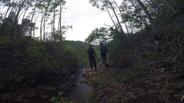 Trilha Cachoeira da Bromélia смотреть онлайн